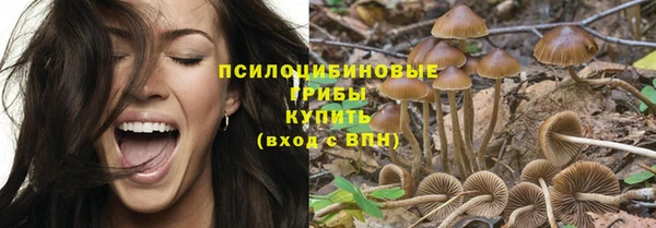 не бодяженный Каменка
