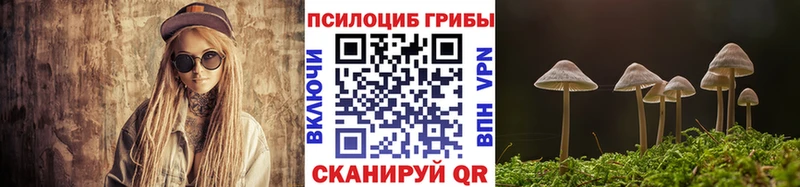 Псилоцибиновые грибы прущие грибы  Купить  Крым 